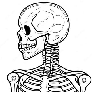 Detailed X Ray Skeleton Coloring Page 61404-49251