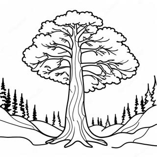 Majestic Pine Tree Coloring Page 61494-49324