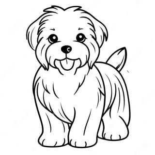 Havanese Dog Coloring Page 61783-49537