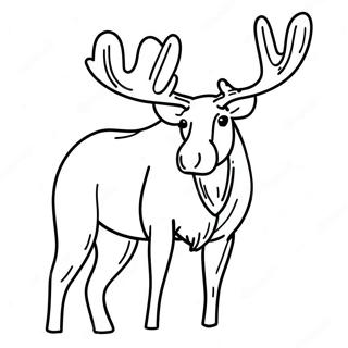 Moose Coloring Pages