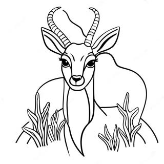 Antelope Coloring Pages