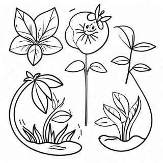 Plant Life Cycle Coloring Page 62283-49940