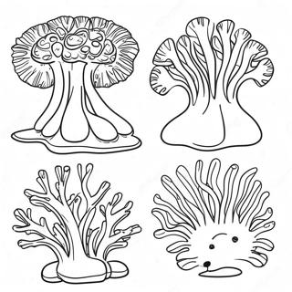 Algae Coloring Page 62833-50377