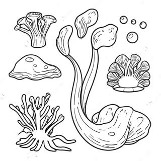 Algae Coloring Page 62833-50378