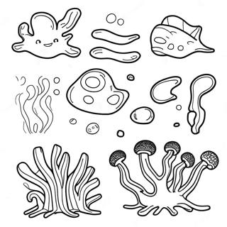 Algae Coloring Page 62833-50379