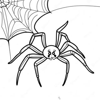 Halloween Spider Coloring Page 6406-5221