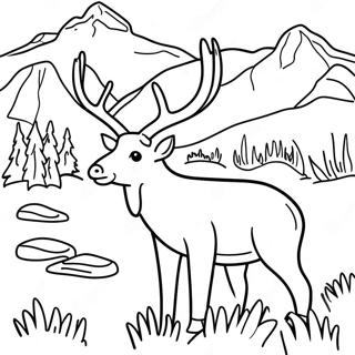 Colorful Colorado Wildlife Coloring Page 64214-51475