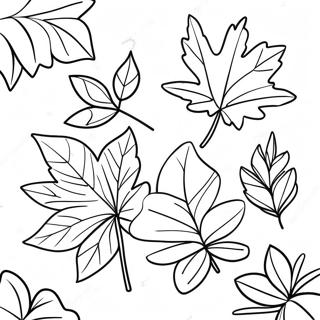 Adorable Autumn Leaves Coloring Page 64374-51603