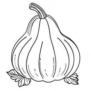 Gourd Coloring Page 64503-51703