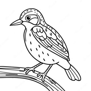 Colorful Western Meadowlark Perched On A Branch Coloring Page 64684-51846