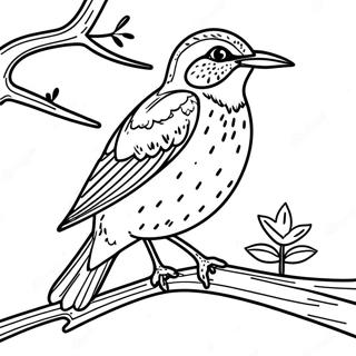 Colorful Western Meadowlark Perched On A Branch Coloring Page 64684-51848