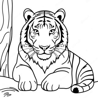 Bengal Tiger Coloring Pages