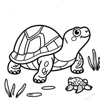 Snapping Turtle Coloring Pages