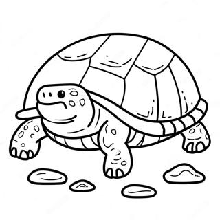 Snapping Turtle Coloring Page 65343-52366