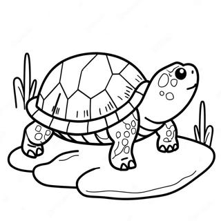 Snapping Turtle Coloring Page 65343-52367