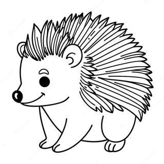 Hedgehog For Adults Coloring Pages