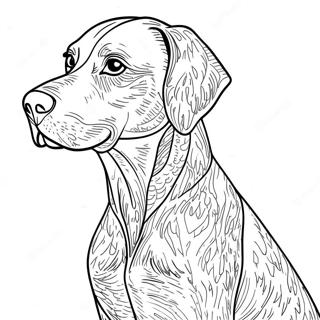 German Shorthaired Pointer Sitting Coloring Page 65643-52607