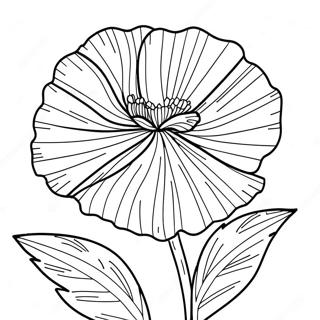 Carnation Coloring Pages