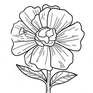 Carnation Flower Coloring Page 65683-52635