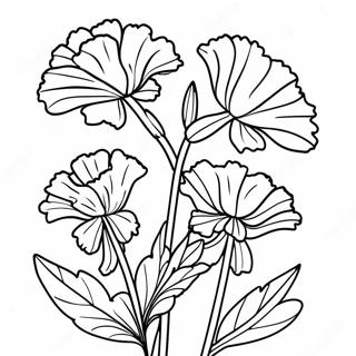 Beautiful Carnation Bouquet Coloring Page 65684-52642