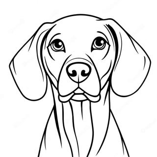 Weimaraner Dog Coloring Page 65953-52850