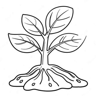 Sprout Coloring Page 67153-53842