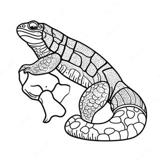 Gila Monster Coloring Page 67253-53918