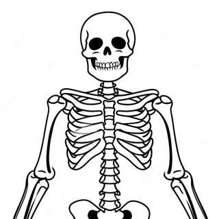 Label The Detailed Skeleton Coloring Page 67453-54087