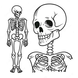 Label The Fun Skeleton Anatomy Coloring Page 67454-54080