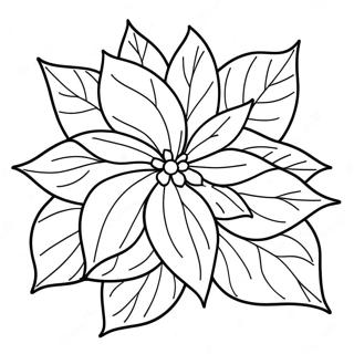 Poinsettia Flower Coloring Page 67833-54379