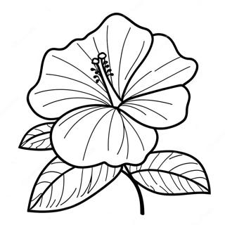 Hibiscus Coloring Pages