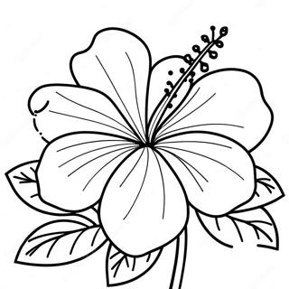 Hibiscus Flower Coloring Page 6986-5682