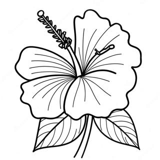 Hibiscus Flower Coloring Page 6986-5683