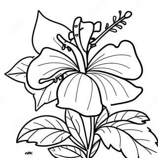 Hibiscus Flower Coloring Page 6986-5684