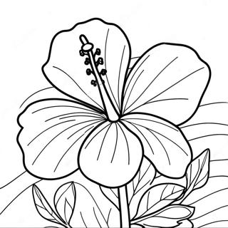 Beautiful Hibiscus Blossom Coloring Page 6987-5686