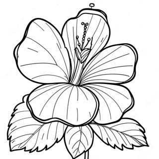 Beautiful Hibiscus Blossom Coloring Page 6987-5687