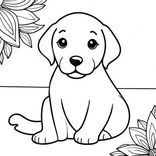 Golden Retriever Coloring Pages