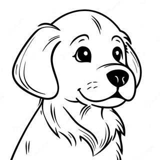 Golden Retriever Puppy Coloring Page 701-563