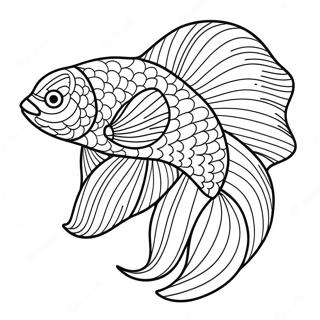 Betta Fish Coloring Pages