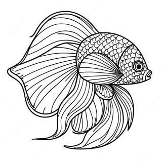 Betta Fish Coloring Page 70563-56550