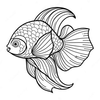 Betta Fish Coloring Page 70563-56551