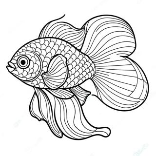 Colorful Betta Fish Swimming Coloring Page 70564-56553