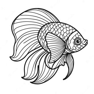 Colorful Betta Fish Swimming Coloring Page 70564-56555