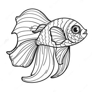 Colorful Betta Fish Swimming Coloring Page 70564-56556