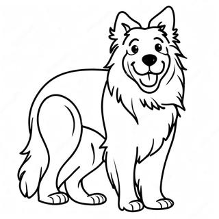 Collie Coloring Pages