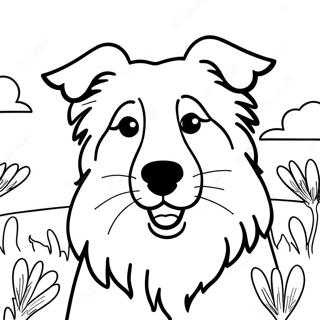 Collie Dog Coloring Page 71593-57366