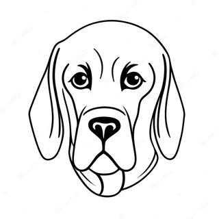 Bloodhound Coloring Page 71823-57550