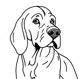 Bloodhound Coloring Page 71823-57552