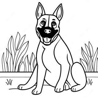 Playful Belgian Malinois Coloring Page 72383-57996