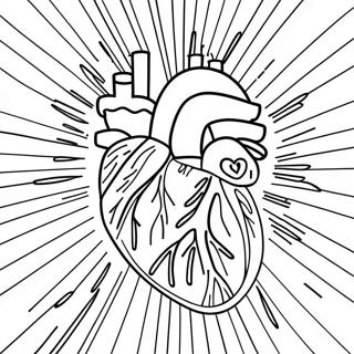 Heart And Blood Vessels Coloring Page 72833-58354